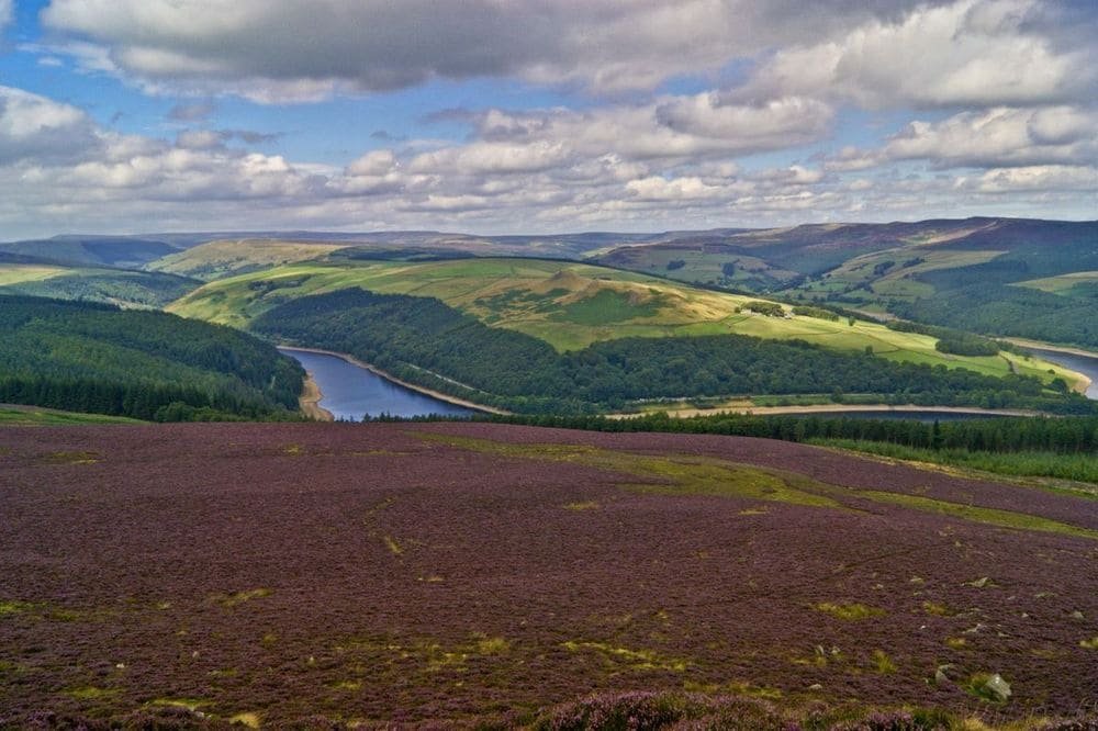 Purple heather moorland in the foreground, looking down to a reservoir among wooded hills and green fields under a wide cloudy sky.