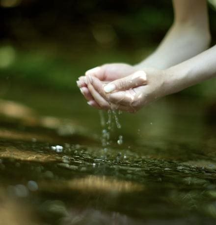Cupped hands letting clear water trickle into a woodland stream.