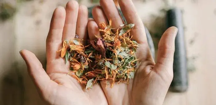 Two open palms hold a handful of dried medicinal herbs and flowers, including calendula and lavender.