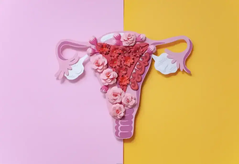 A paper-art illustration of the female reproductive system, decorated with flowers.