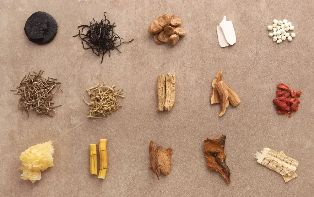 Dried Chinese herbs laid out in neat piles: roots, bark, flowers, seeds and red goji berries.